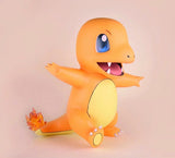 Charmander 1:1