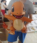 Charmander 1:1