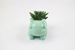 Vaso Bulbasaur