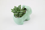 Vaso Bulbasaur