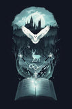 HARRY POTTER Posters Art